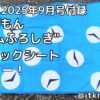 BE-PAL2025年9月号付録レビュー！ドラえもんが好きならおすすめ【シート】